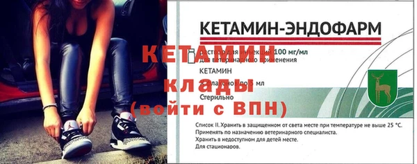 СК Снежногорск