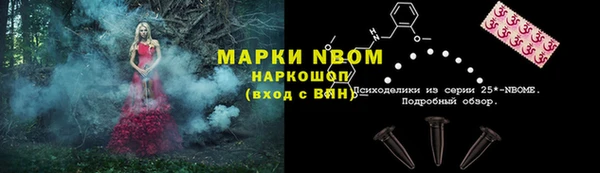 СК Снежногорск