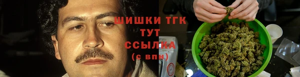соль ск Снежинск