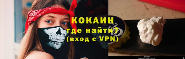 СК Снежногорск