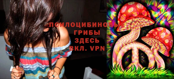 СК Снежногорск