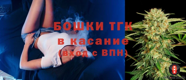 СК Снежногорск