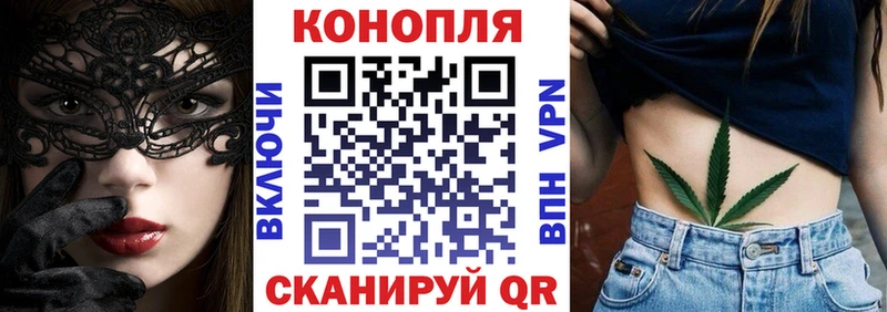как найти наркотики  Судак  Бошки марихуана AK-47 